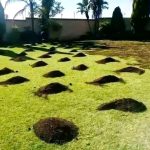 WhatsApp Image 2025-10-24 at 12.34.59 PM (2) WhatsApp Image 2025-10-24 at 12.34.59 PM (2)