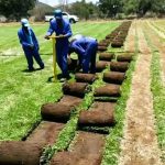 WhatsApp Image 2025-10-24 at 12.35.00 PM (1) WhatsApp Image 2025-10-24 at 12.35.00 PM (1)