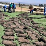 WhatsApp Image 2025-10-24 at 12.35.06 PM (2) WhatsApp Image 2025-10-24 at 12.35.06 PM (2)