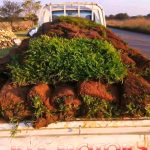 WhatsApp Image 2025-10-24 at 12.35.07 PM WhatsApp Image 2025-10-24 at 12.35.07 PM