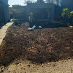 WhatsApp Image 2025-10-24 at 12.35.07 PM (2) WhatsApp Image 2025-10-24 at 12.35.07 PM (2)