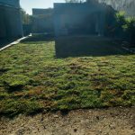 WhatsApp Image 2025-10-24 at 12.35.07 PM (3) WhatsApp Image 2025-10-24 at 12.35.07 PM (3)